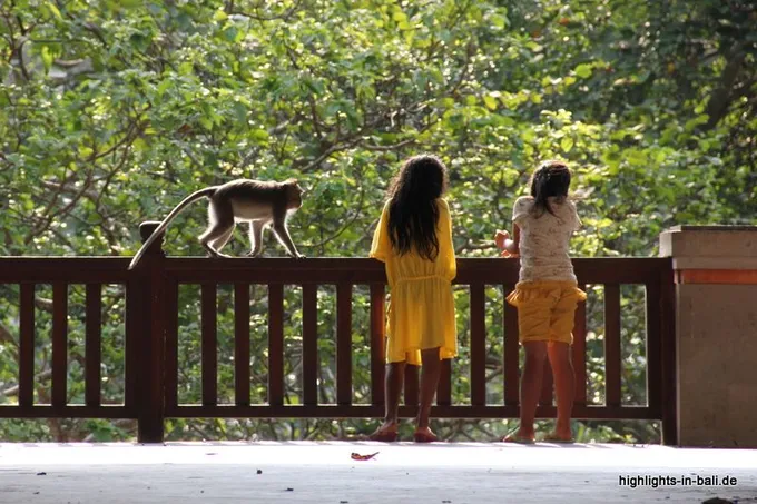 Affenwald in Ubud